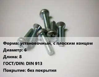 Винт установочный, с плоским концом 6х8 DIN 913 без покрытия